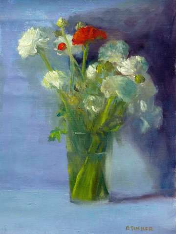 Red ranunculus