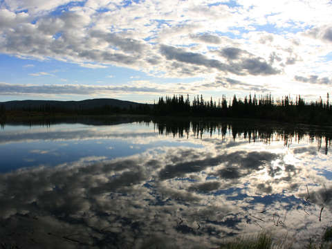 Trees clouds near alaska and canadian border