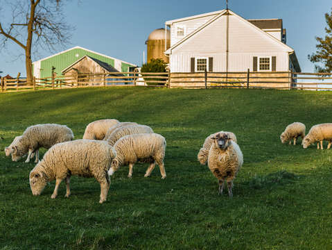 Lancaster farmland