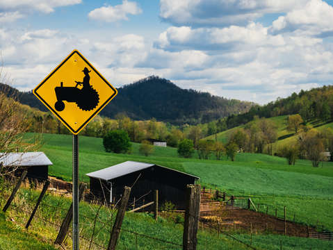 North carolina farmland
