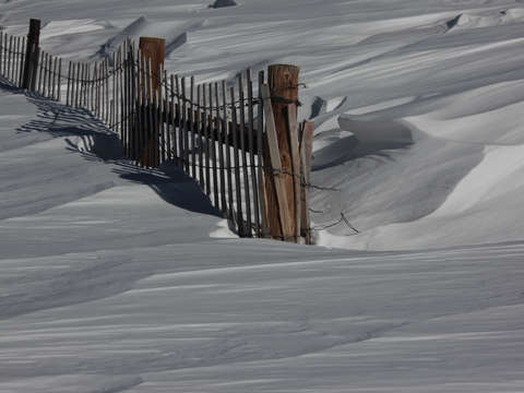 Snow fence