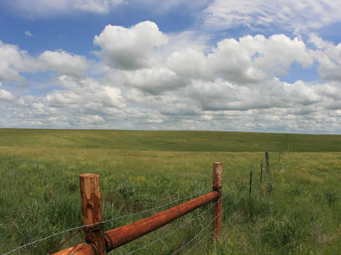 Fort pierre national grassland