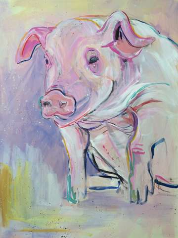 Seated Pig
