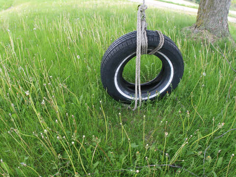 Wisconsin tire swing