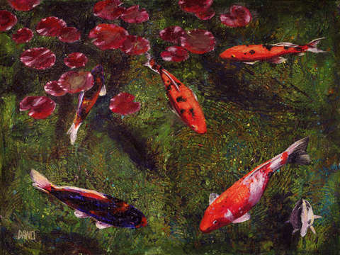 Koi Fish Swimming at Volunteer Park