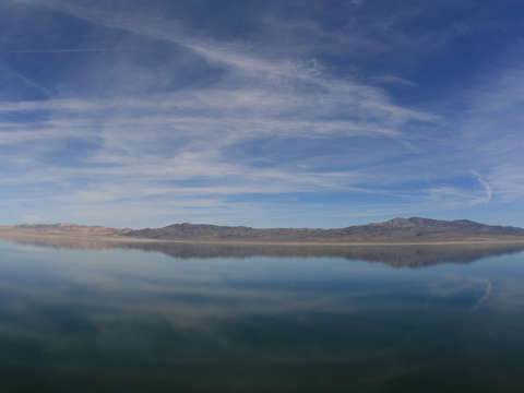 Walker lake california
