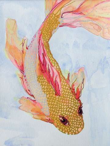Goldie the fish