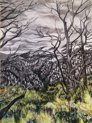 Untitled from the chiricahua natl monument series