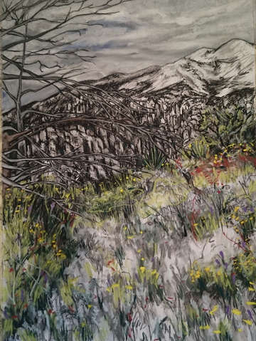 Chiricahua drawing series untitled 2