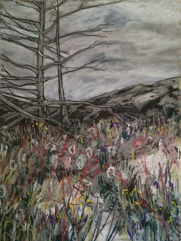 Chiricahua drawing series untitled 1