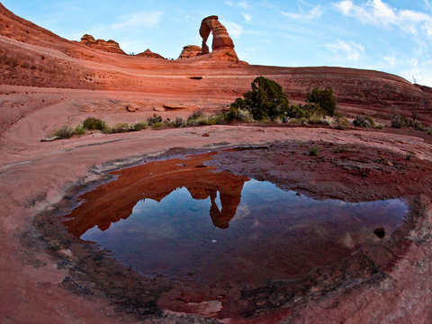 Delicate arch and its reflection