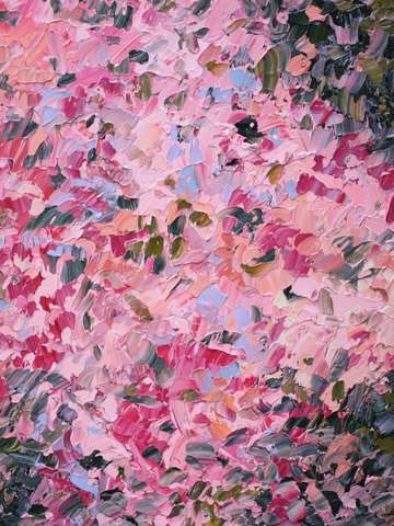 Hydrangea Netherlands Pink