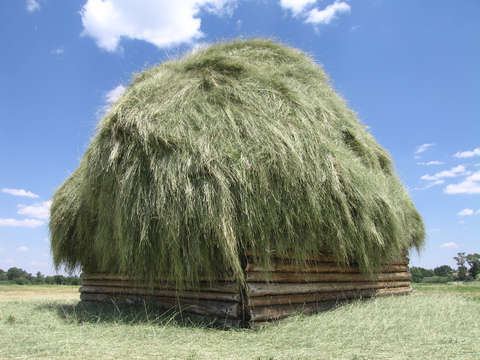Huge hay stack