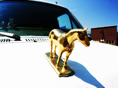 Hood ornament 2