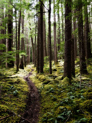 The illuminated path