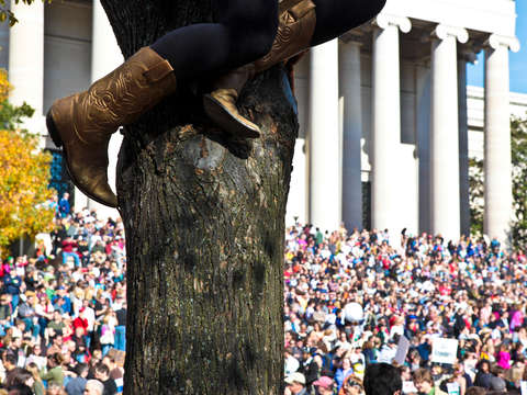 Girl in a tree