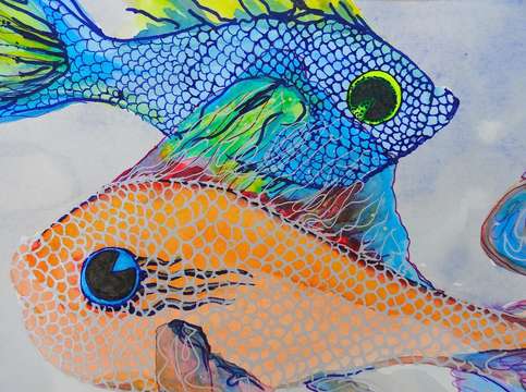 Orange blue