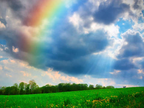 Rainbow turkey
