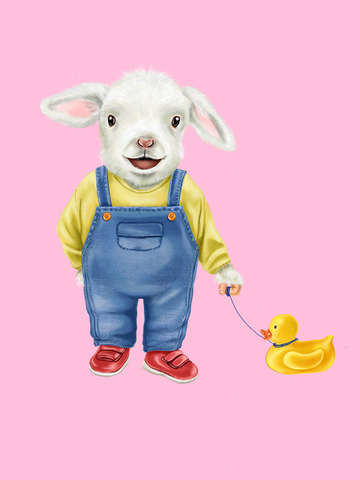 Little sheep