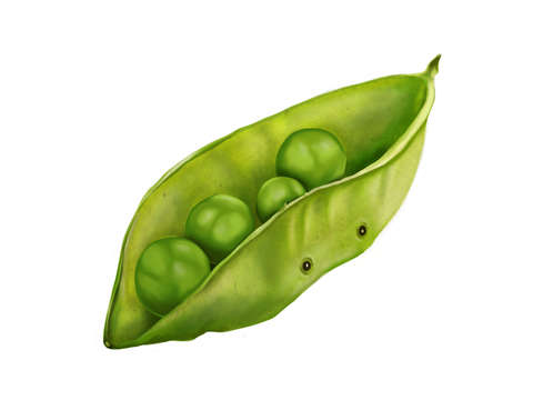 Hello beans