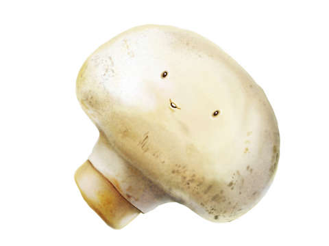 Hello mushroom