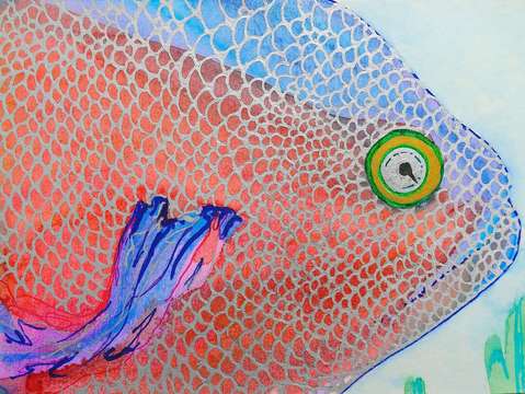 Pink blue fish