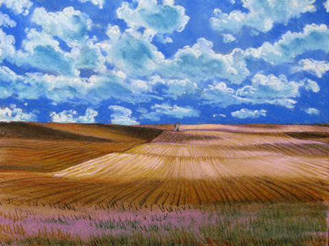After the Harvest; North Dakota Wheat Field