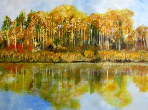 Birch treeline