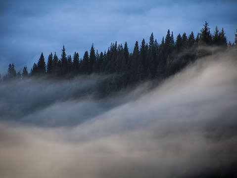 Morning mists in a mountain valley