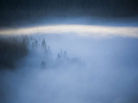 Morning mist 4
