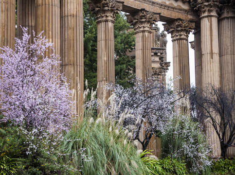 Palace of fine art in spring 2