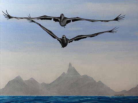 2 pelicans