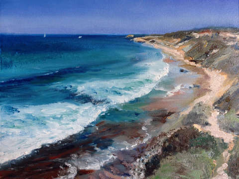 Crystal cove 1