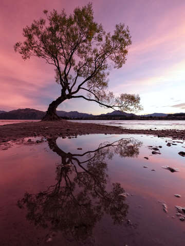 Lake wanaka
