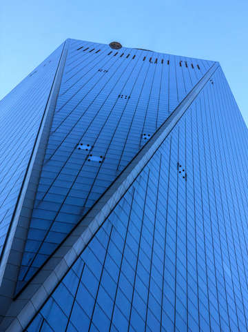 Wtc 08