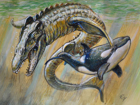 Mossasaurus and orca