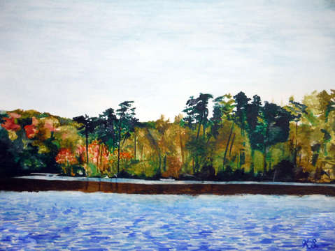 Burke lake kayaking