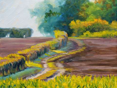 Study of curving hedge after a sunshower