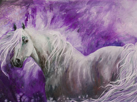 Stallion dream