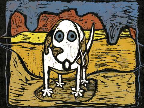 Skippy visits canyon lands