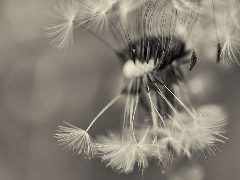 Departure 5