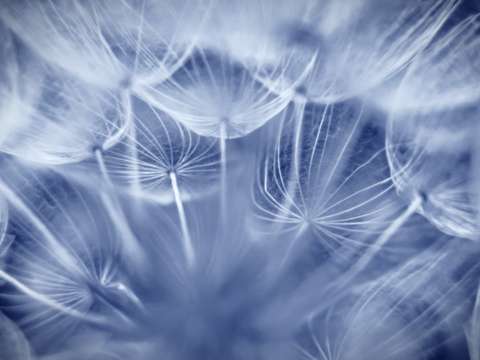 Blue whisper