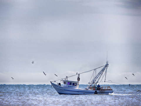 Simple shrimper