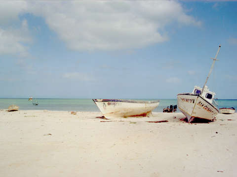Mexican fishing boats