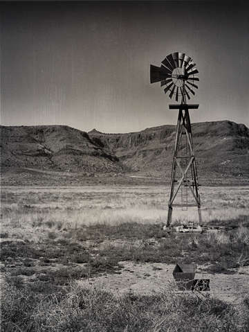 Kestel on a Windmill