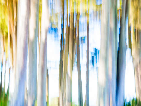 Moving trees ii 20 30