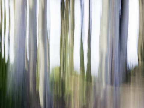 Moving trees iii