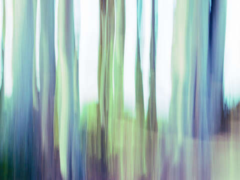 Moving Trees III-2