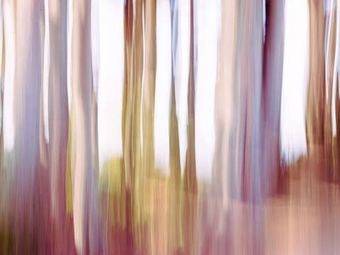 Moving trees iii 3