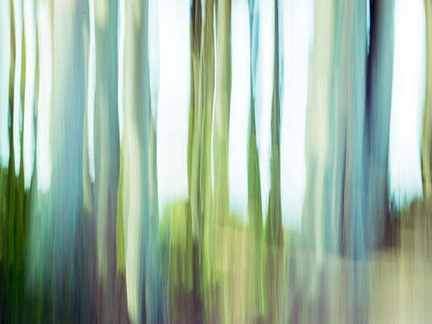 Moving trees iii 4